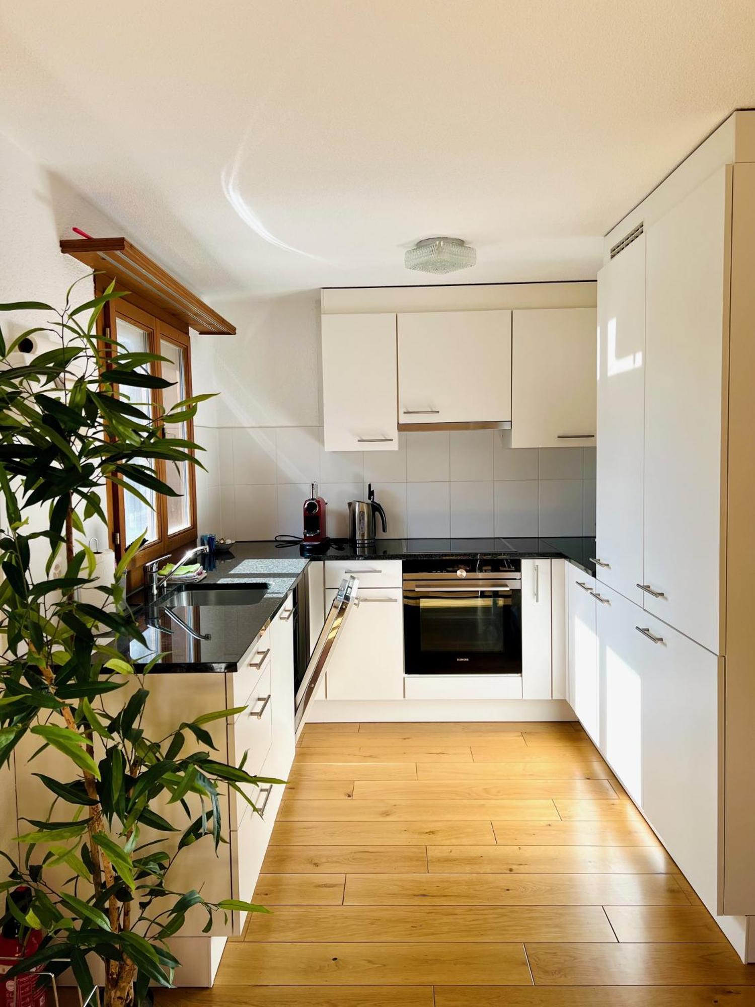 Maisonette 4.5 Zimmer, Naehe Ballenberg Hofstetten bei Brienz Exterior photo
